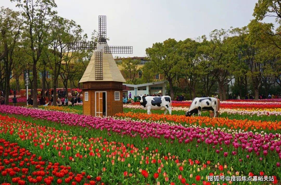 苑售楼处)首页网站-最新房价户型图小区环境配套明园都市森林叠