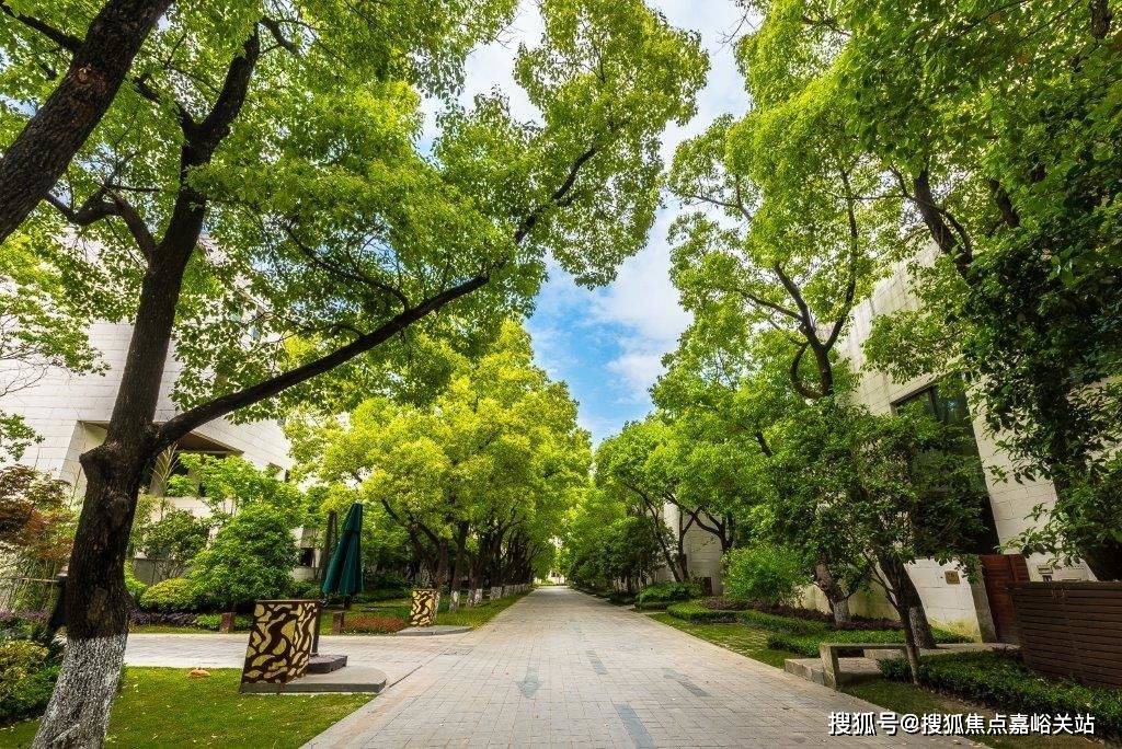 苑售楼处)首页网站-最新房价户型图小区环境配套明园都市森林叠翠苑售楼处电话(明园都市森林叠翠(图9) 苑售楼处)首页网站-最新房价户型图小区环境配套明园都市森林叠翠苑售楼处电话(明园都市森林叠翠(图9)