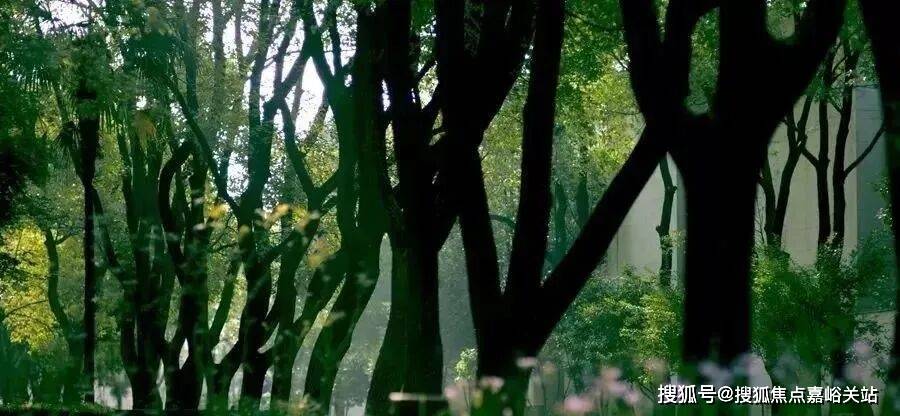 苑售楼处)首页网站-最新房价户型图小区环境配套明园都市森林叠翠苑售楼处电话(明园都市森林叠翠(图18) 苑售楼处)首页网站-最新房价户型图小区环境配套明园都市森林叠翠苑售楼处电话(明园都市森林叠翠(图18)