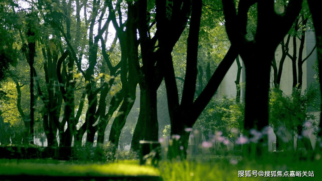 - 户型价格地址楼盘详情配套电话交房时间配套电话交房时间明园森林都市(售楼处) 首页 - 明园森林都市销售中心(图9)